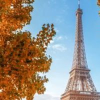 Qicademie des Lebens